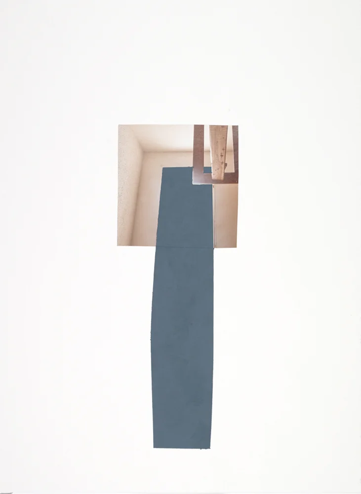 Vesania Brevis (10-D-72), 22” x 28”, gouache and photograph fragment on paper, 2010