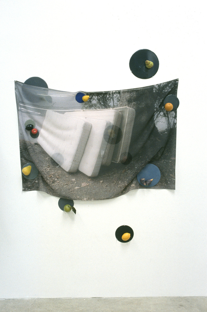 Ad Hunc Locum (Fruit), 70" x 60" x 4", pigment print on fabric, urethane, artificial fruit, magnet, steel, 2004