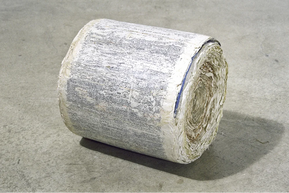 Carum Thesaurus (Websters Third), 9" x 10" x 9", unabridged dictionary, glue, 2002