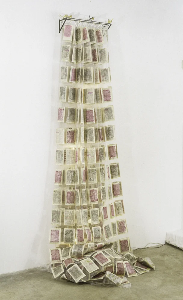 Dictionarium (Winston Simplified Dictionary), 115" x 53" x 45", fabric, paper, lights, paper birds, paint, 1992