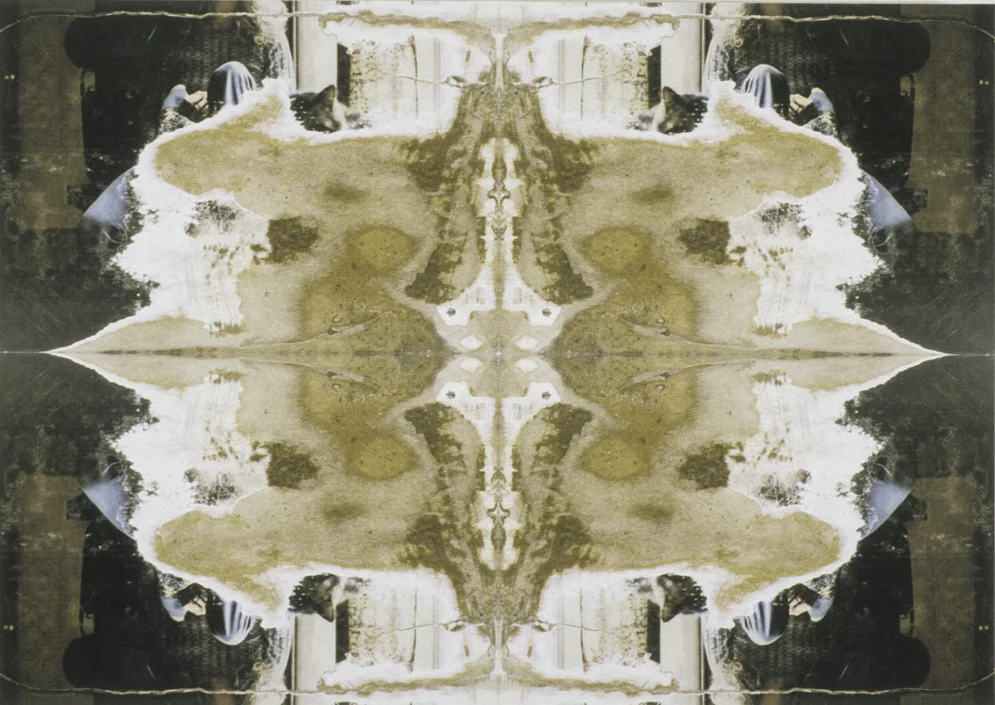 Ad Retego Per Ambages (CKdrvNts15), 24 x 34in, pigment prints, wood panel, 2002