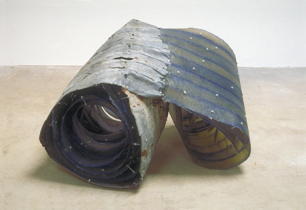 Duplex Cubiculum (Double Chamber), 30" x 46" x 28", fiberglass, sheet metal, fasteners, pigment, 1989