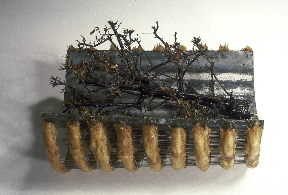 Cognatio (Kinship, Bloodtie), 35" x 25" x 25", metal, wool, shrub, resin, 1990