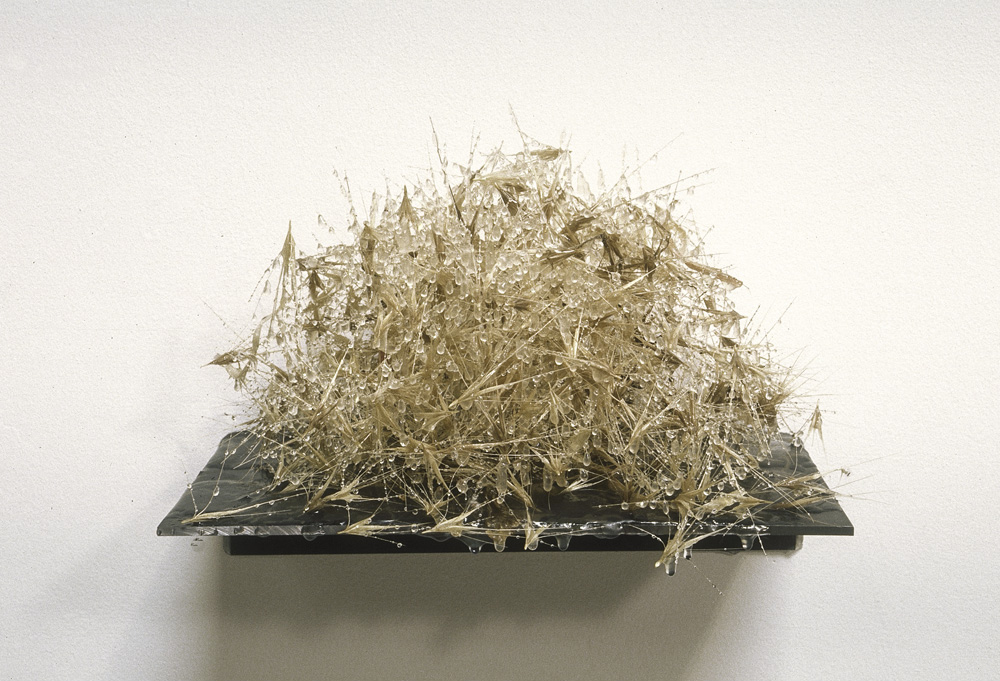 Complura Noxiae (Many Hurts), 7.5 x 9.5 x 5.5”, steel, foxtails, resin, 1989