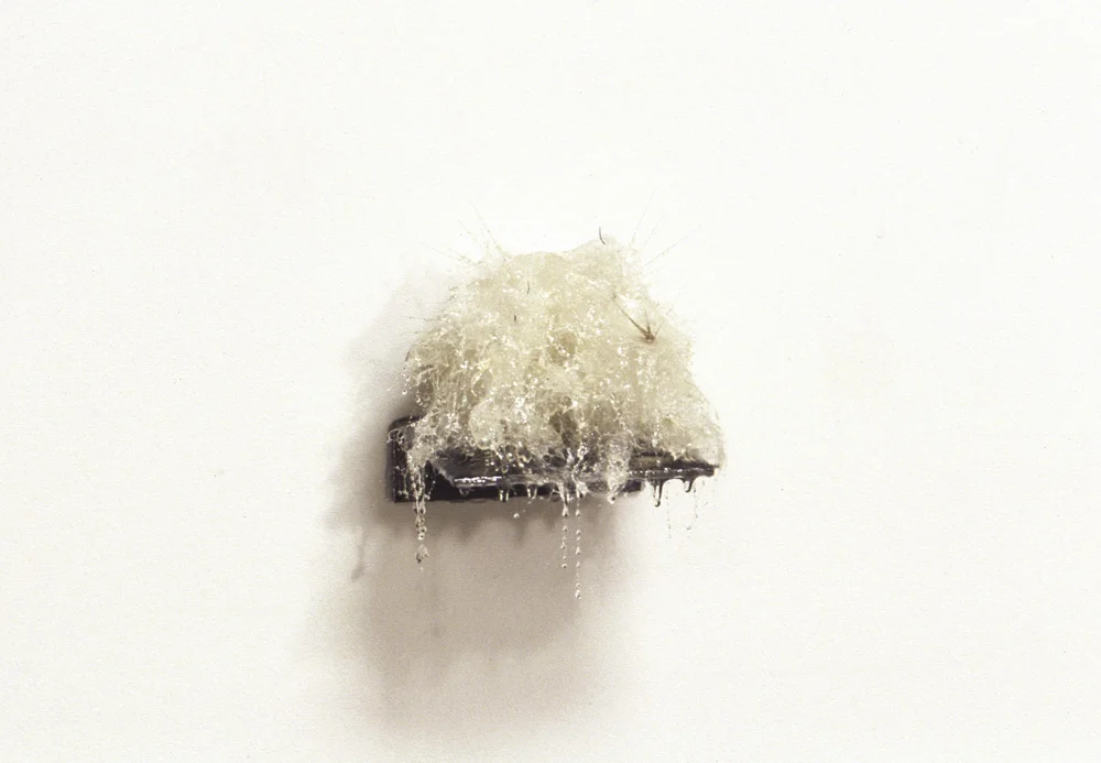 Comatus Canicula (Long Haired Little Dog), 4.5 x 4.5 x 4.5", steel, dog hair, foxtails, resin, 1989