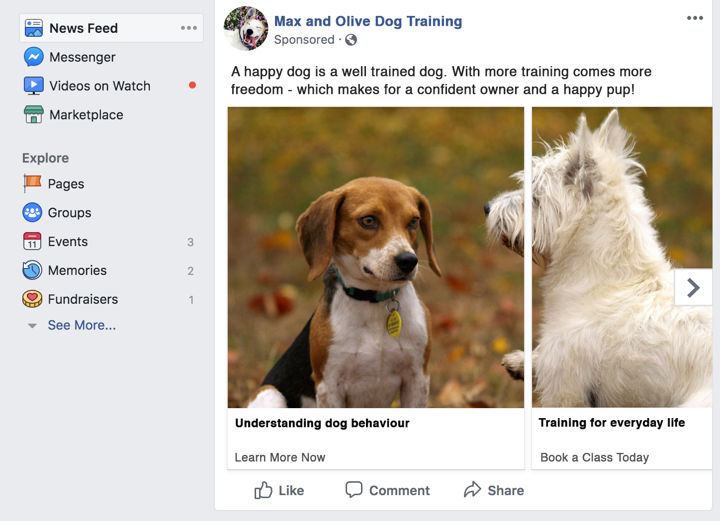 DogTraining(2).png