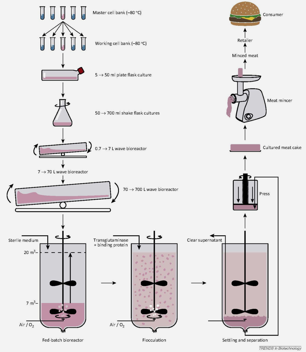 source- Trends in Biotechnology, van der Weele et al.