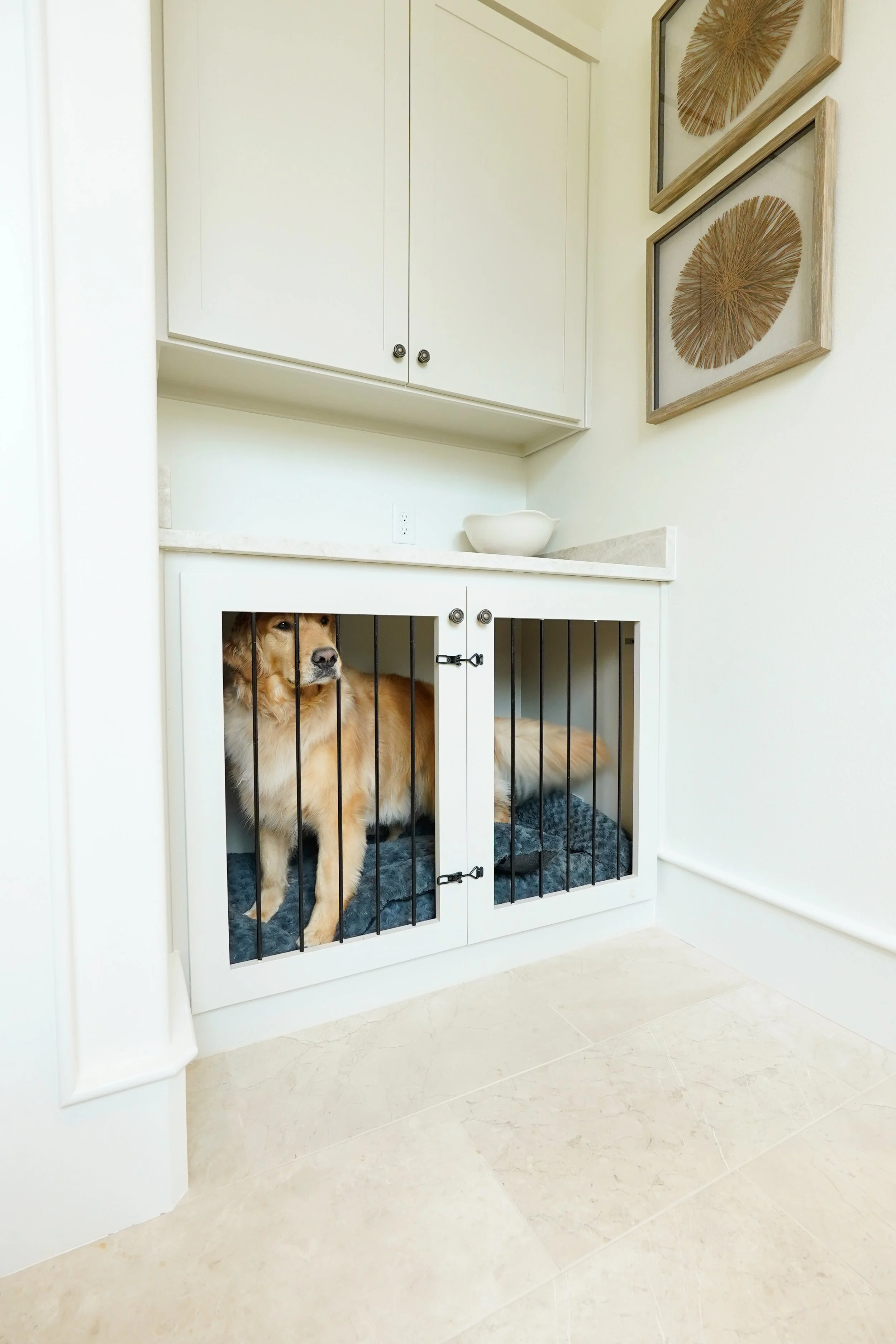 Dog Kennel.jpg