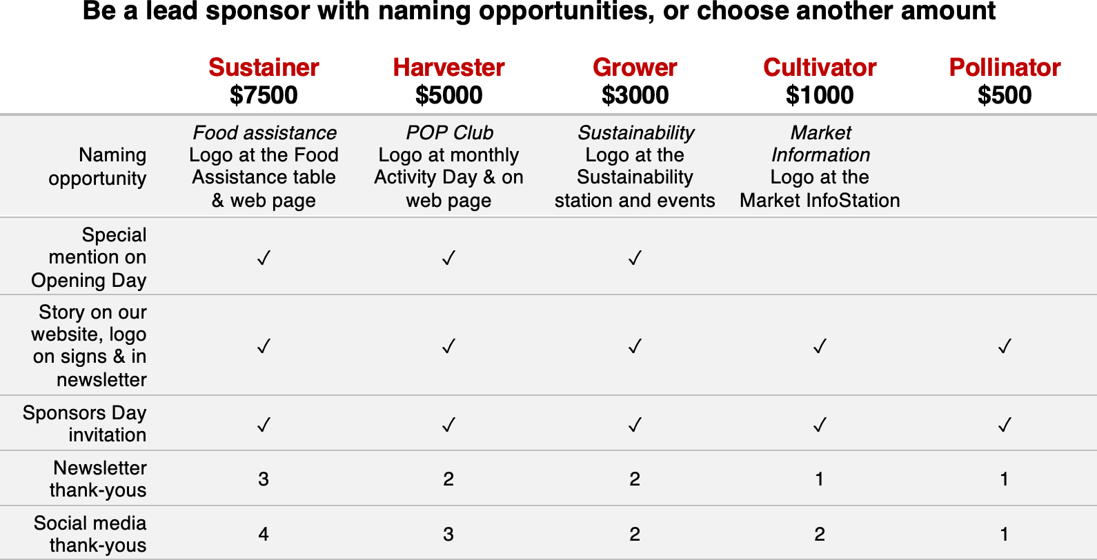 A table showing benefits of sponsorship