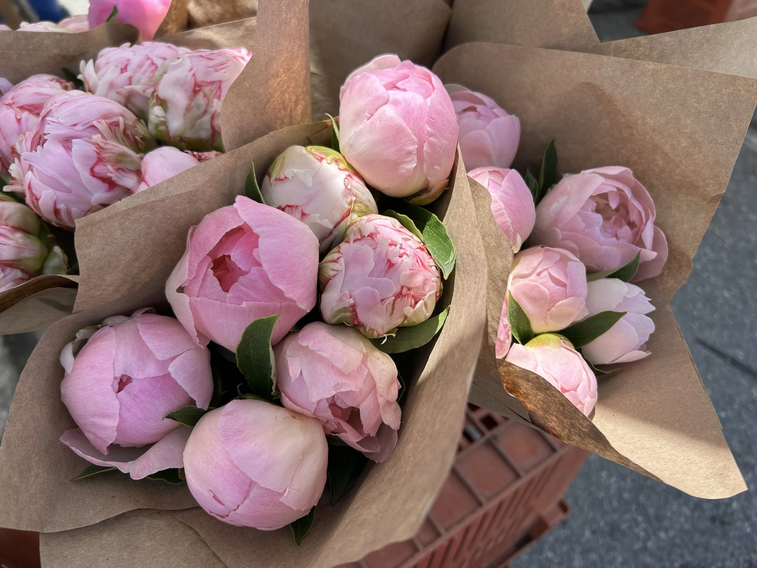 Pink peonies wrapped in brown paper