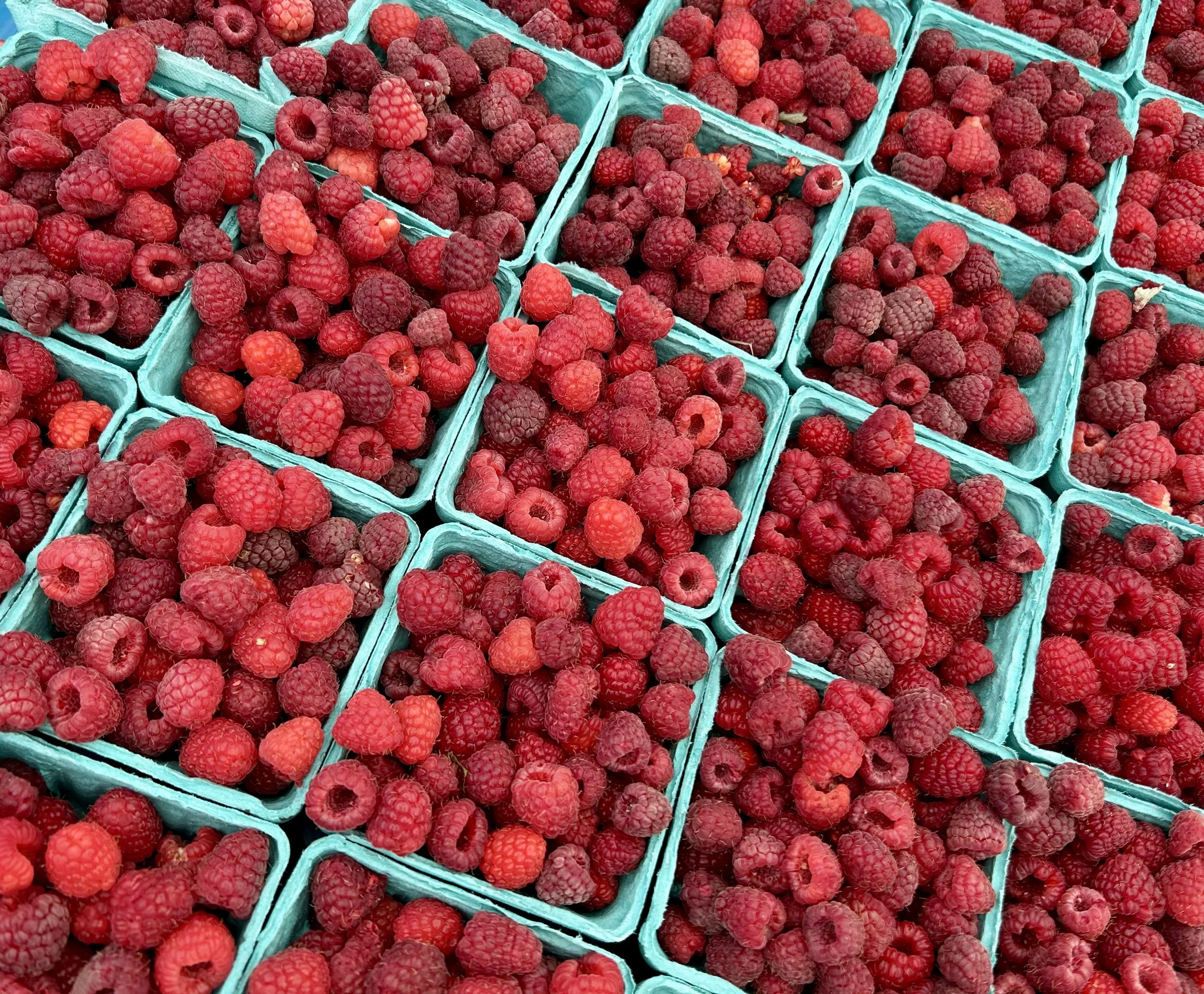 Raspberries in blue boxes