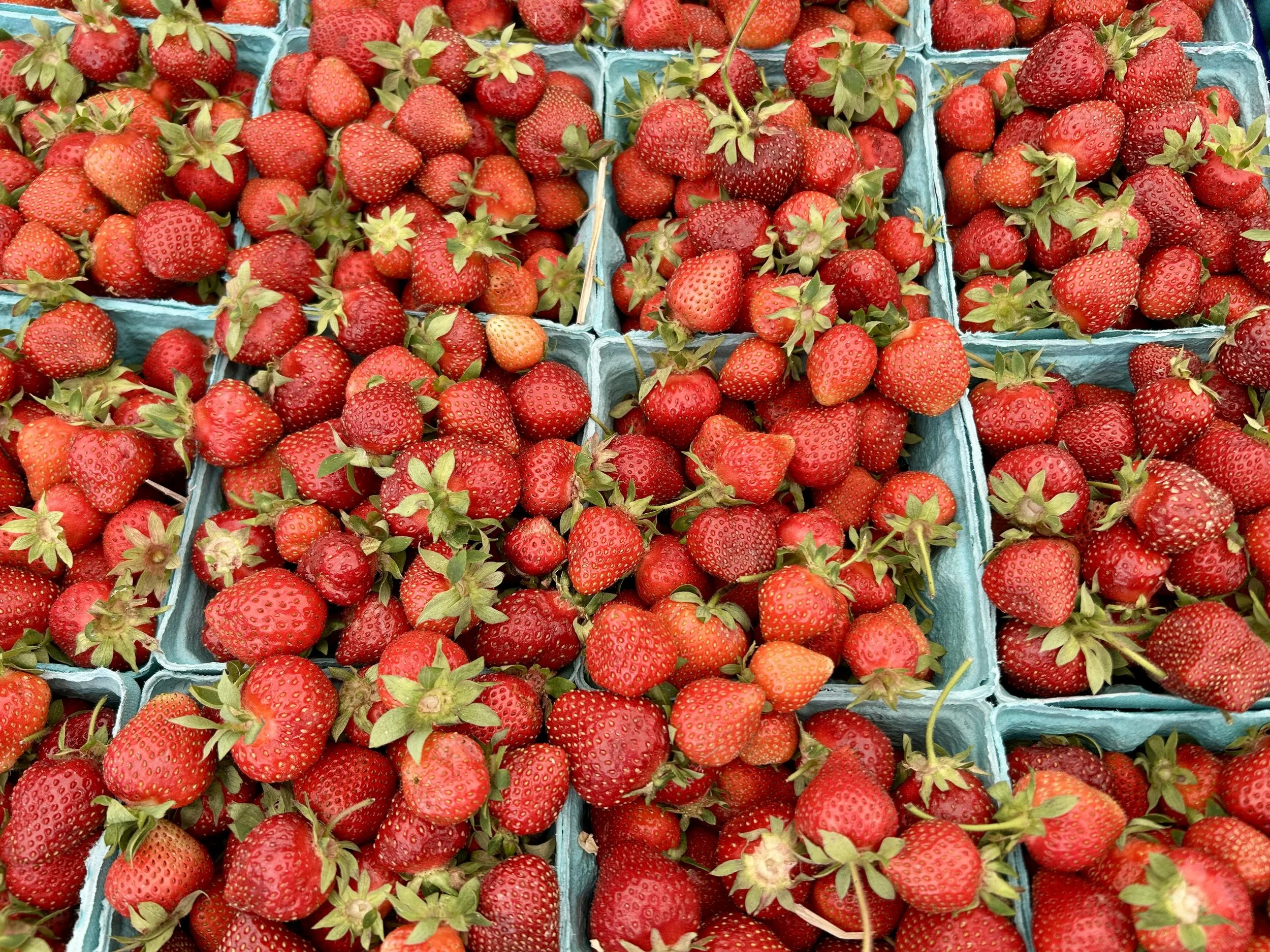 Red strawberries in blue boxes