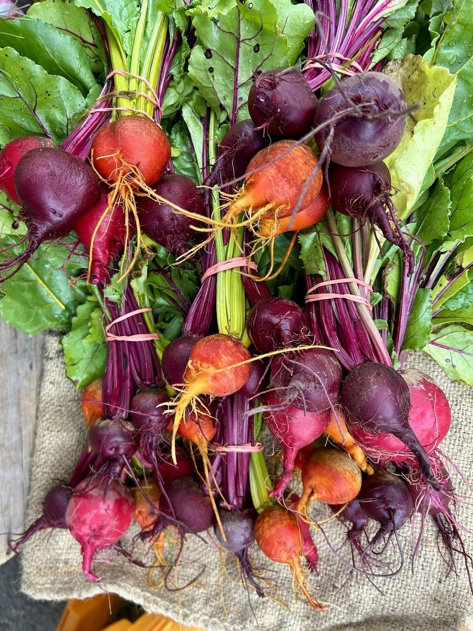 Beets in purple, red and orange colors