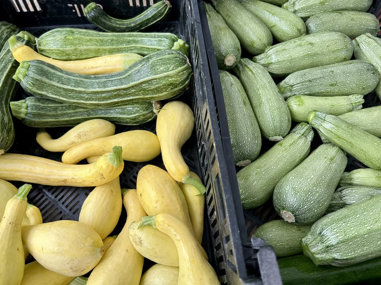 Light green and yellow summer squash