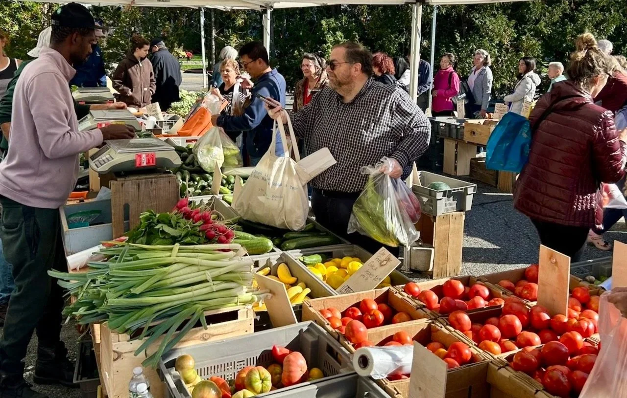 Shoppers and a seller at a stand displaying tomatoes, leeks and other produce