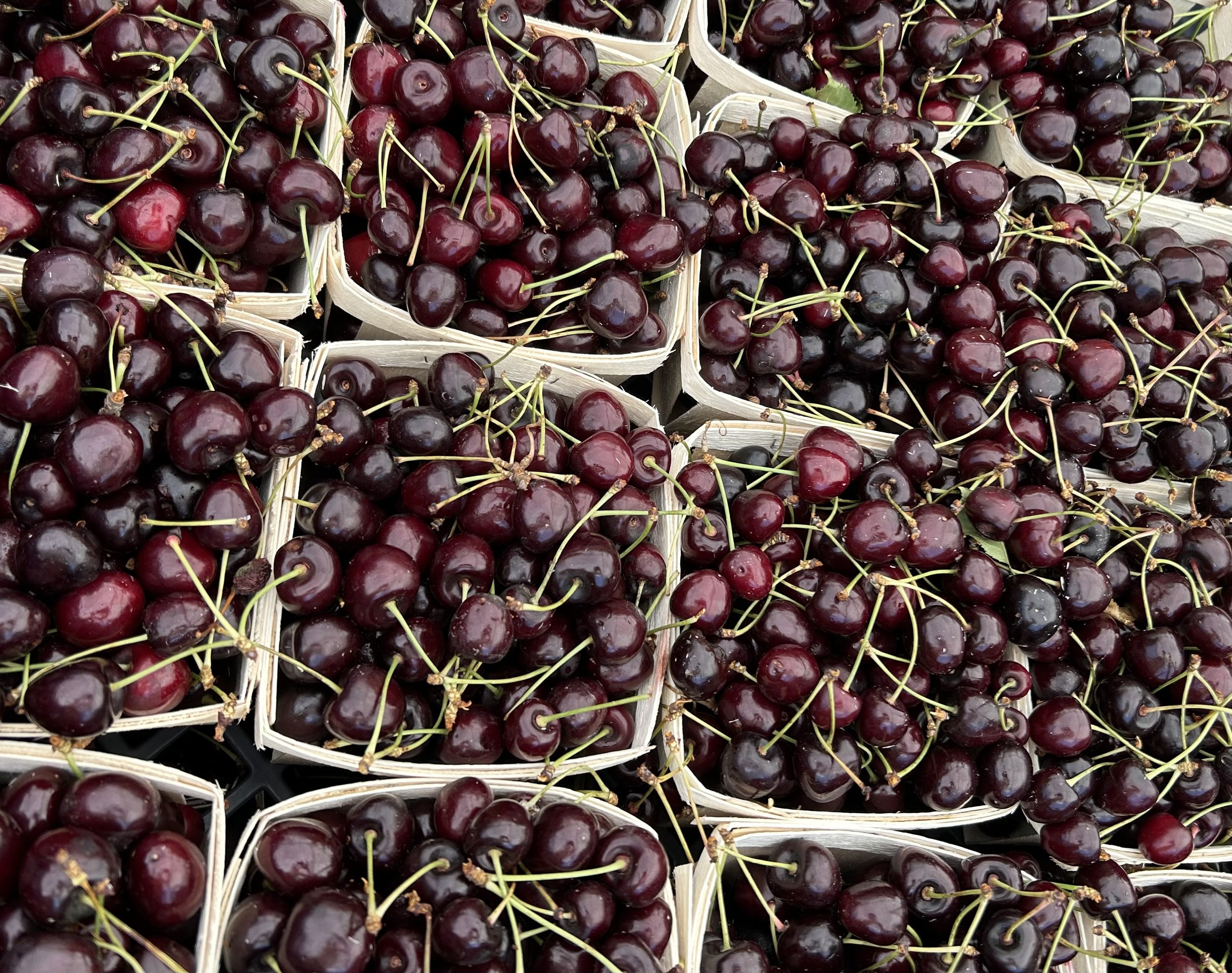Dark red cherries in boxes