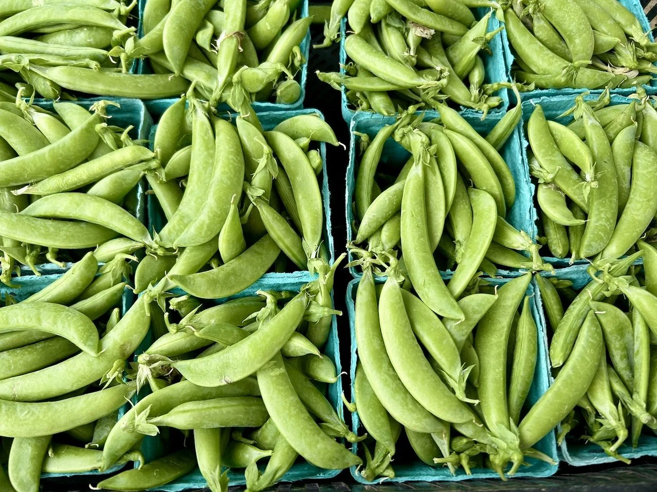 Boxes of green snap peas