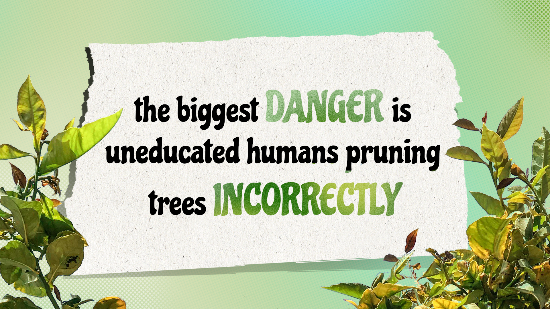 Artboard 3 copy 3.png