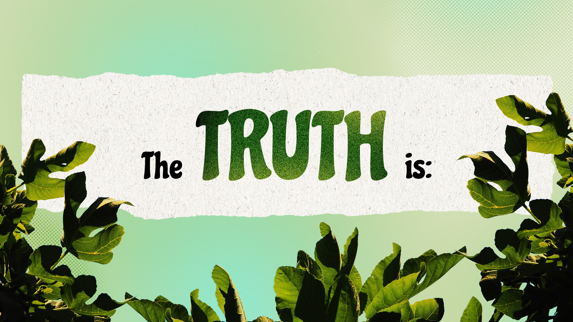 Artboard 3 copy 2.png