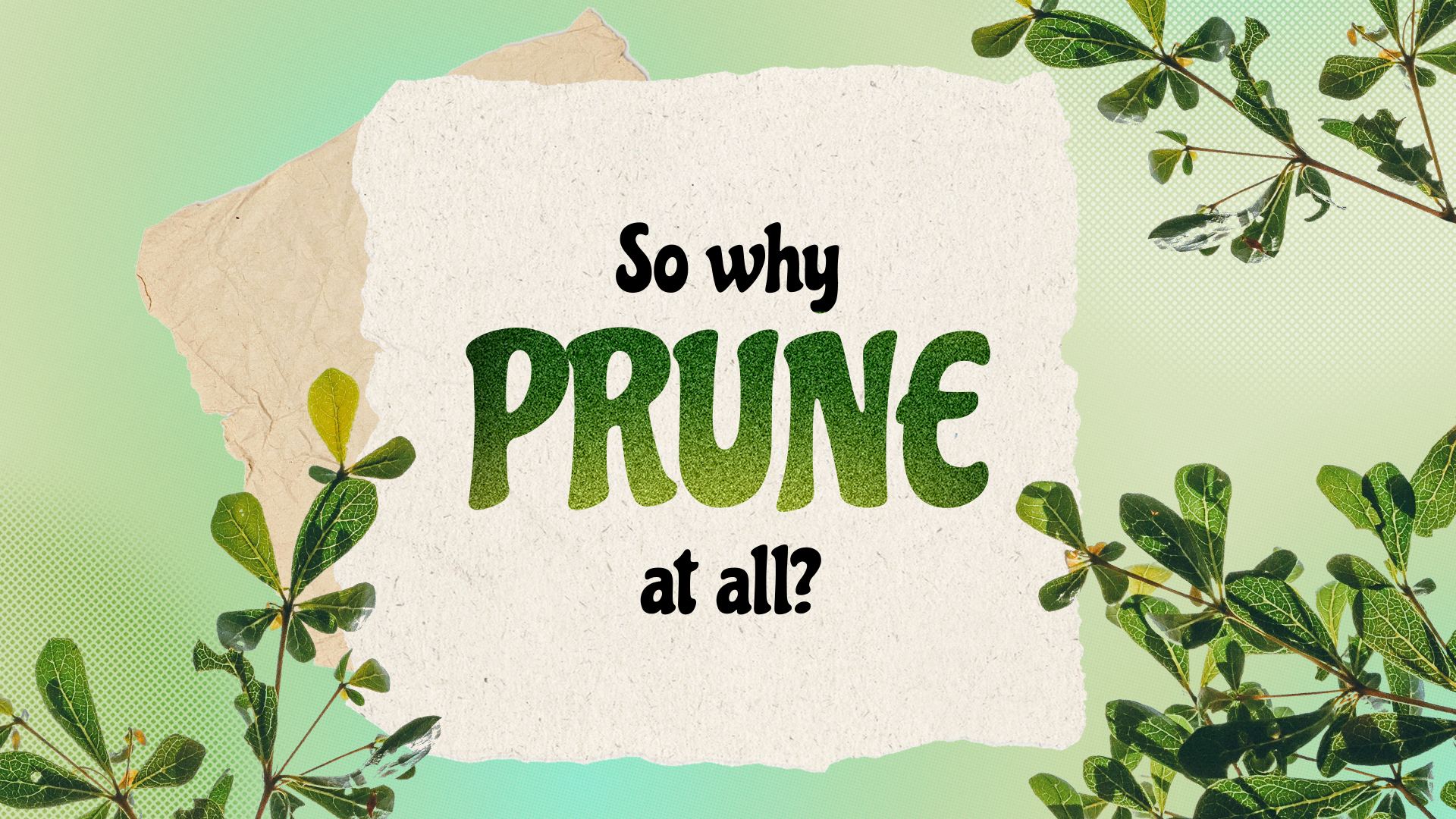 Artboard 3 copy 4.png