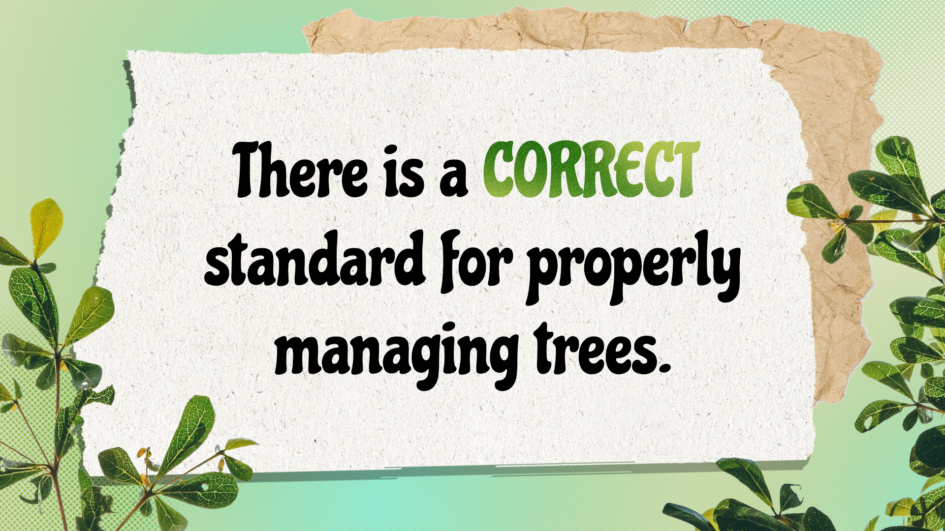 Artboard 3 copy 6.png