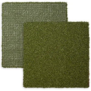ForeverLawn-Austin-GolfGreens-Pro Putt Chip.jpg