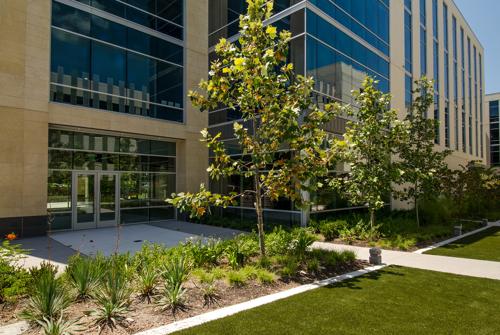 Landscape Corporate.jpg