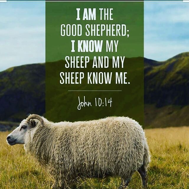 Good Shepherd &quot;I am the good shepherd; I know my own sheep, and they know me,&quot; (NLT) ( John 10:14 ) 
These words came straight from Jesus' mouth.  If you ever wonder whether Jesus cares for you or loves you, this is your verse.  He knows yo