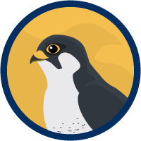 trailhead_module_introduction-to-falcon.png