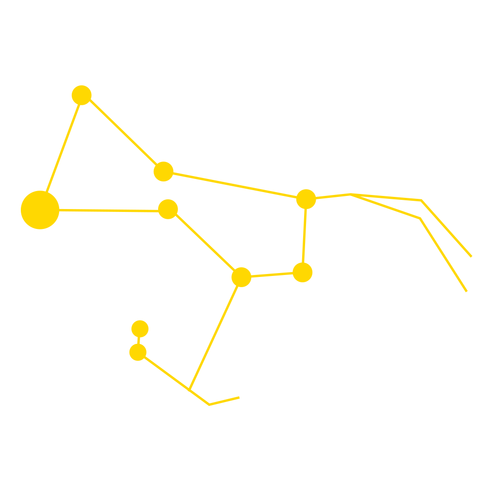 RIGIL_yellow.png
