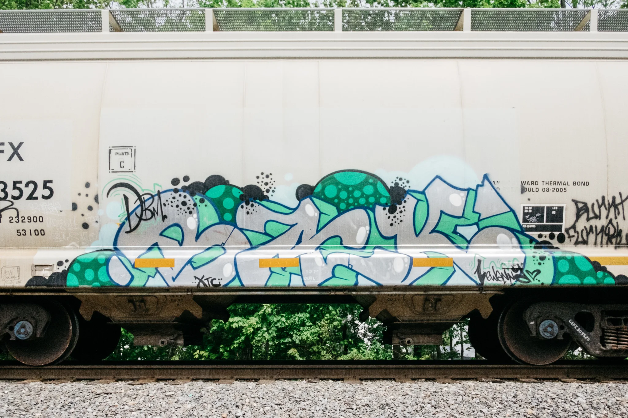 Photo by The Lines Don’t Lie