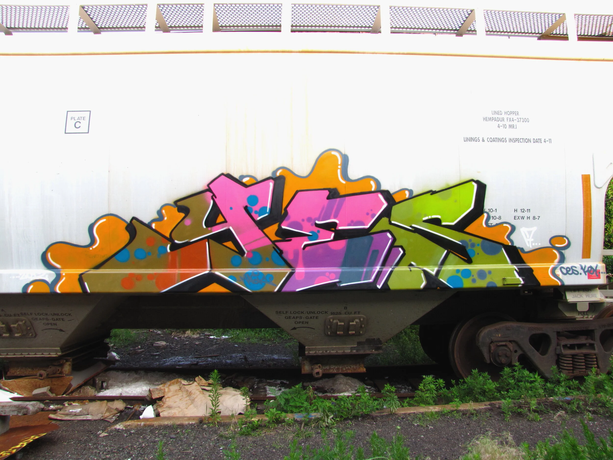  Photo by SoulRoachNYC © 