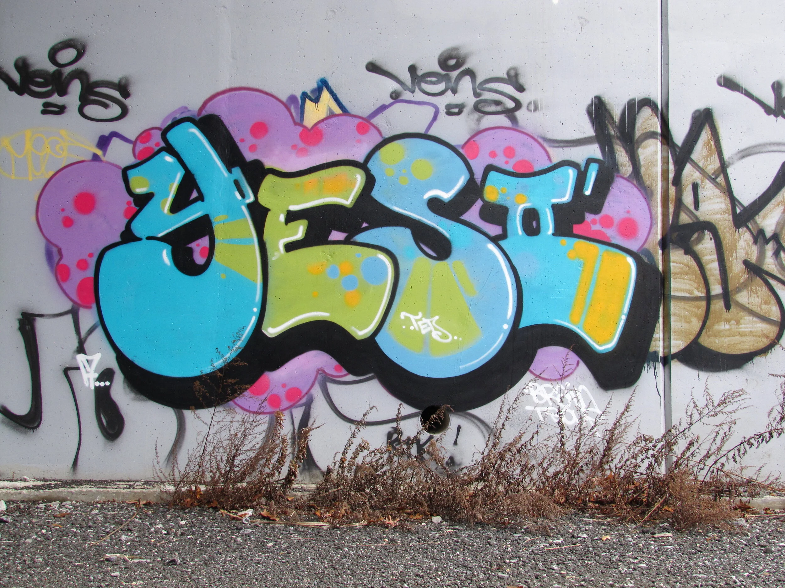  Photo by SoulRoachNYC © 