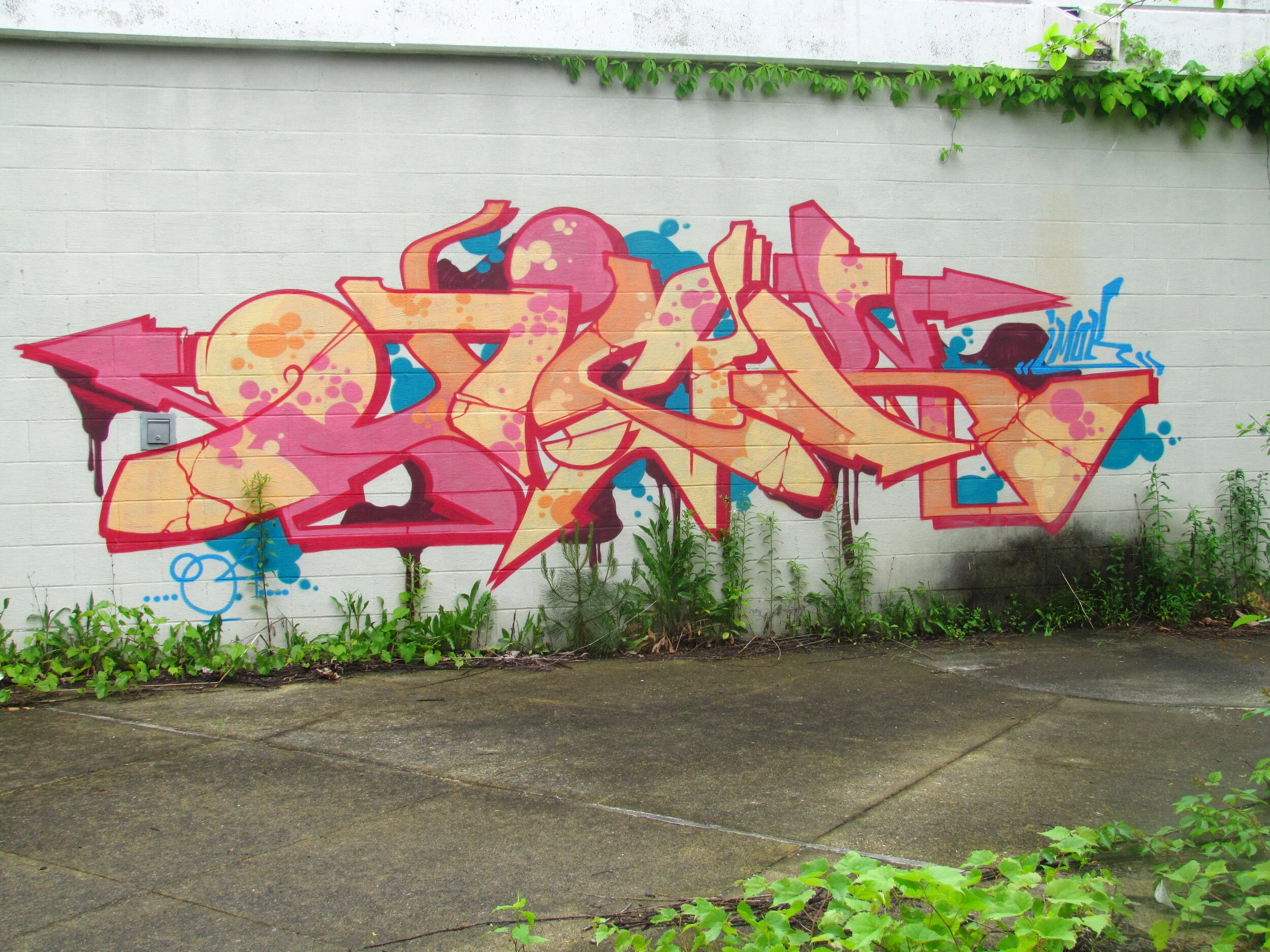 Photo by SoulRoachNYC ©