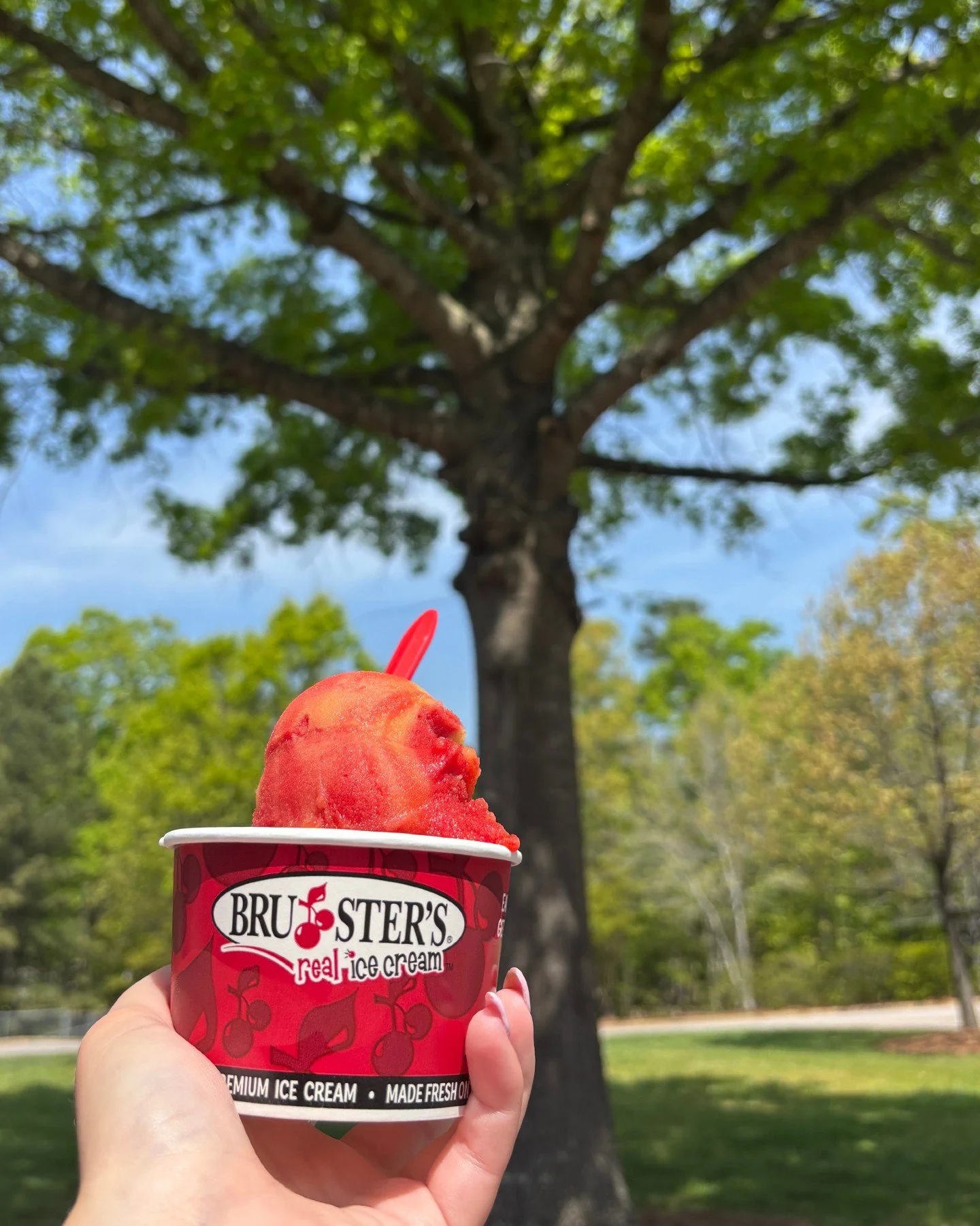 Blue skies and sunshine are finally here ☀️ Time to cool down with a delicious treat from Bruster's Real Ice Cream 🍧

@brustersapex
@brustersdurham