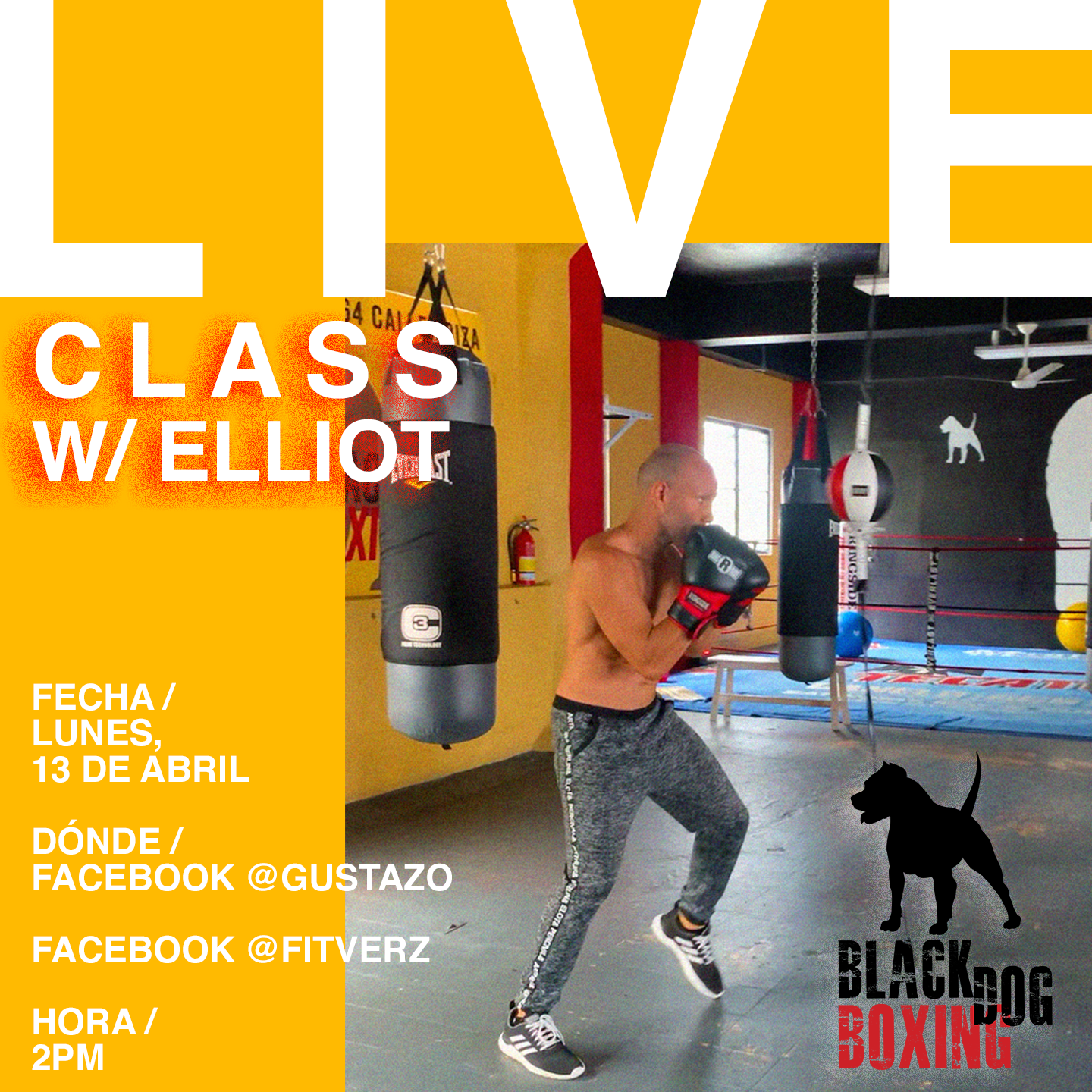 BDB_LIVECLASS_13Abril.png