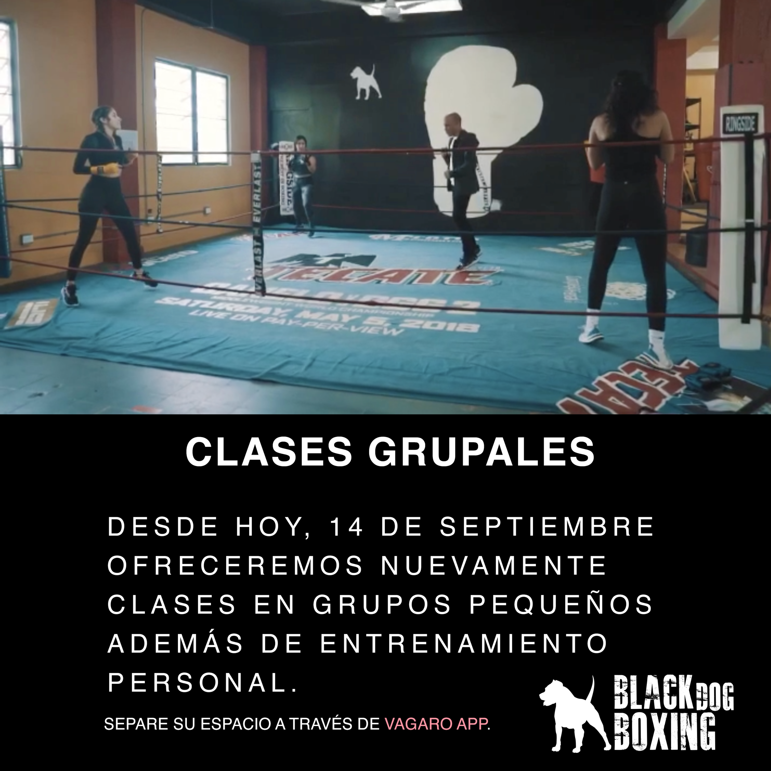 Clases-Grupales.png