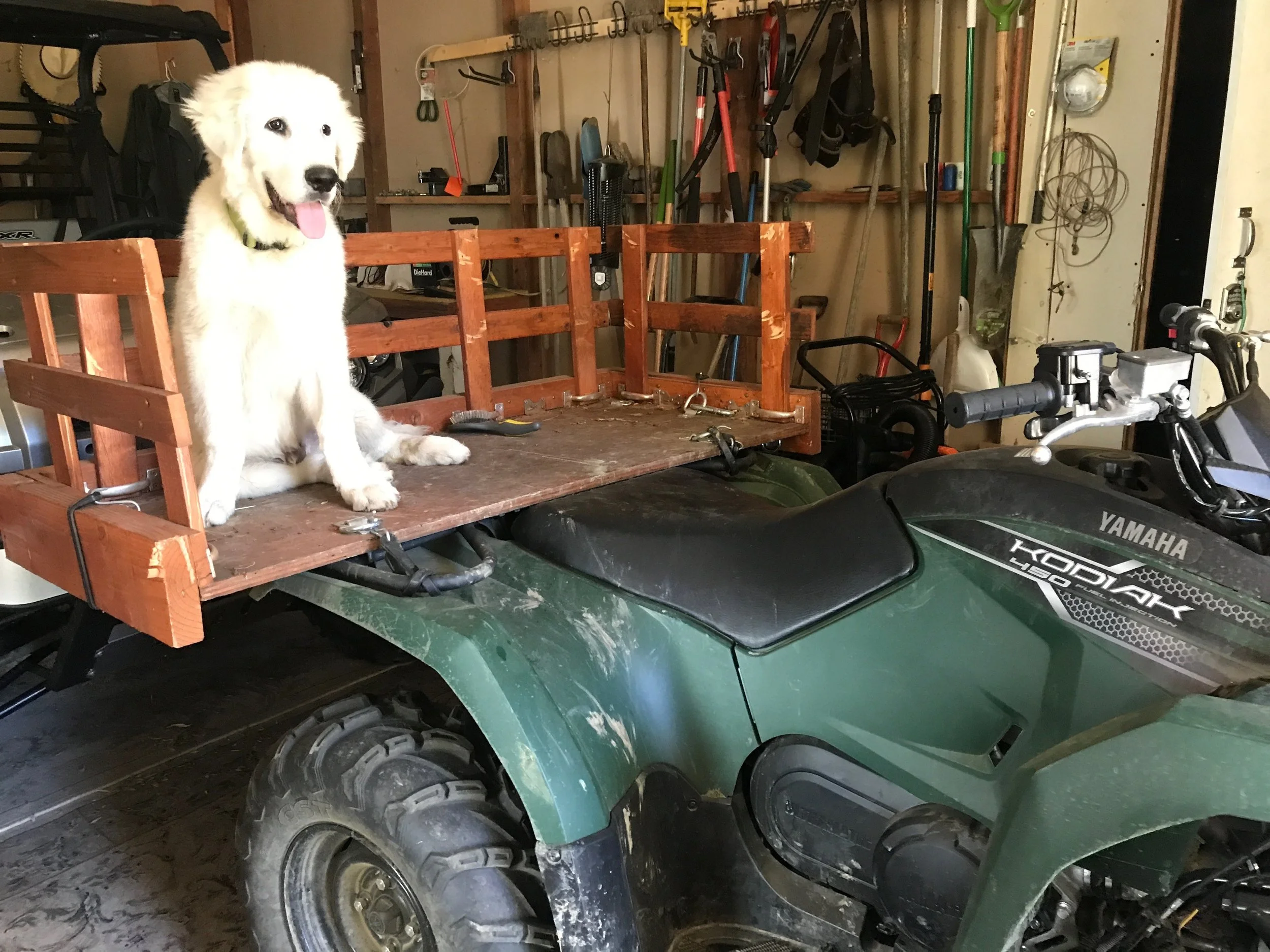 57870786815__EE767E7C-FBB7-4B2F-9A74-A227CCCC2FC4 2.jpeg