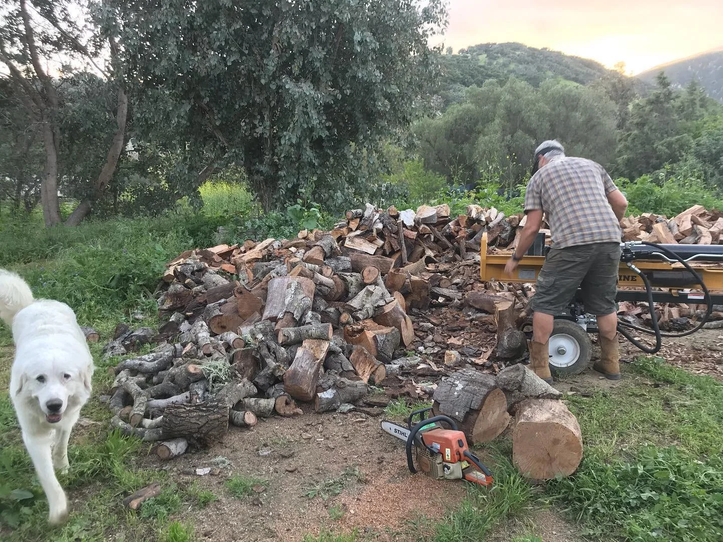 Got wood? If not we do. Let us know if you need a stack... delivery available or come pick up. Mulla for wood negotiable.