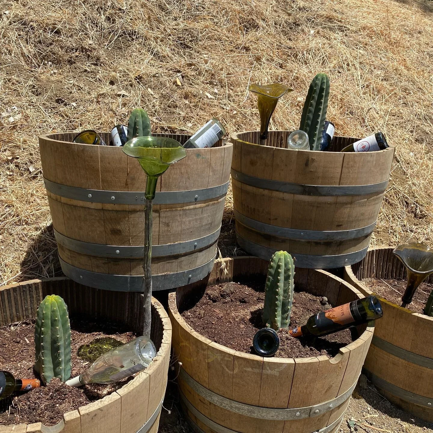 Finally figured out how to water our cacti without having to drag 100,s of feet of hose or install drip system:-)))
