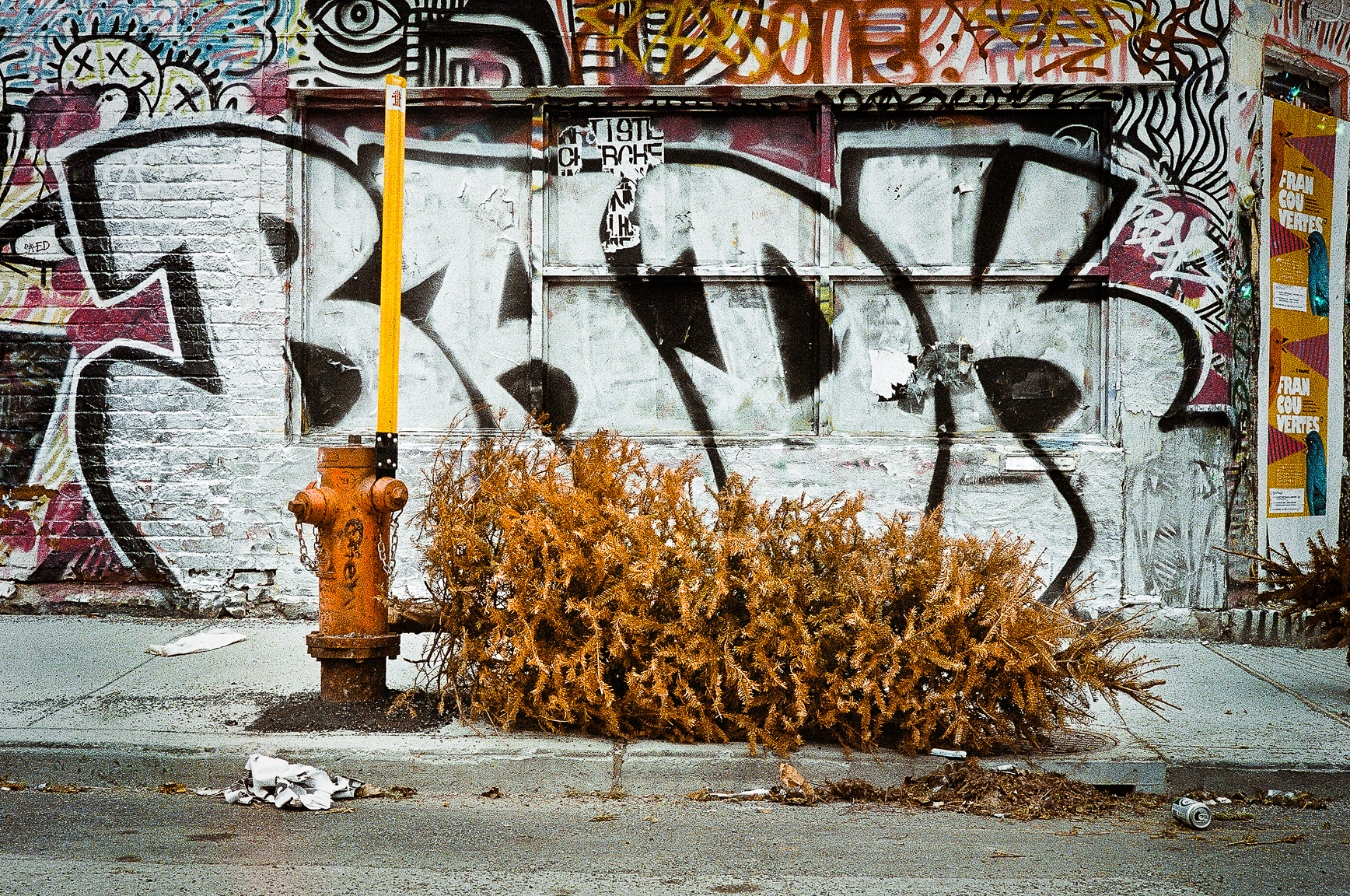 Dehydrated (1 of 1).jpg