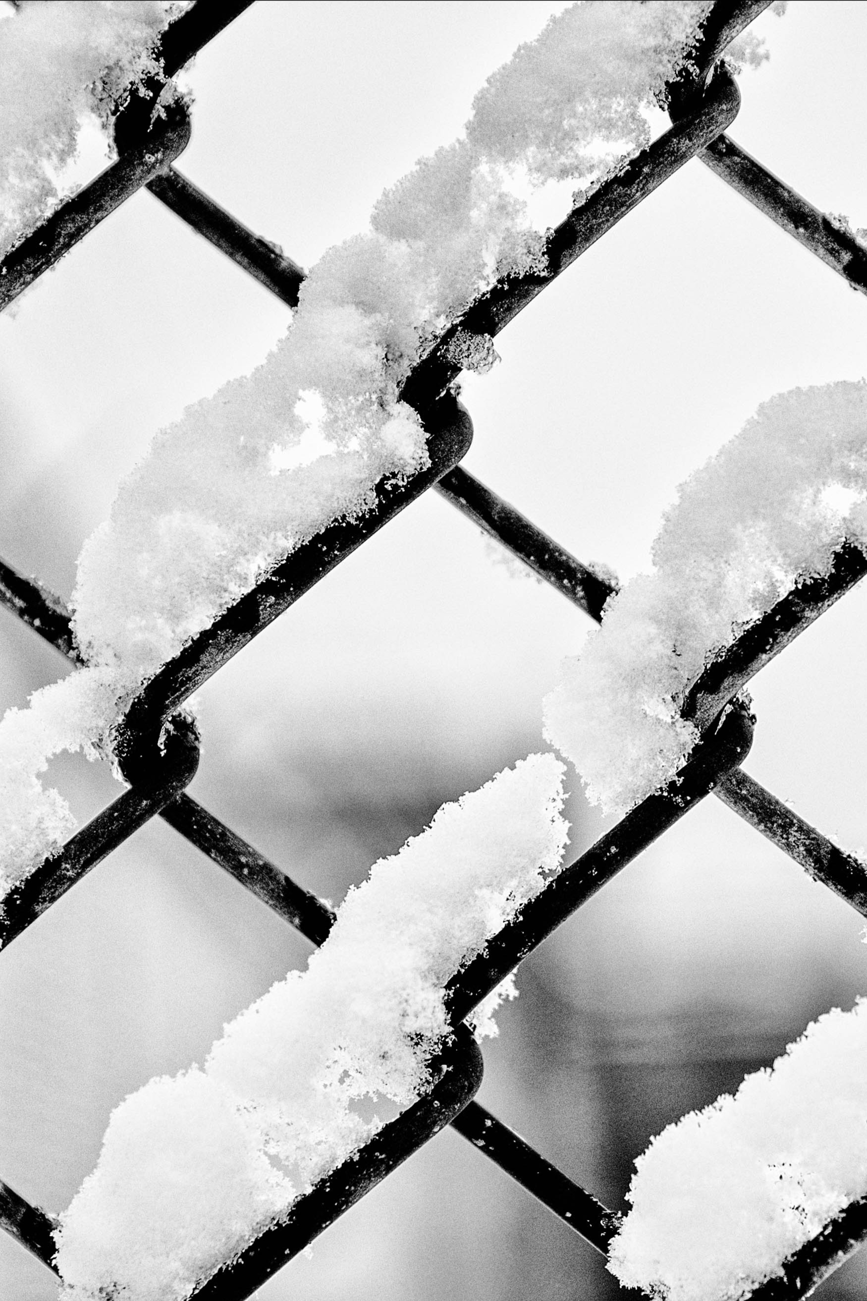 F560D453-C257-49BE-B5B9-B9F4C352BA35.jpeg