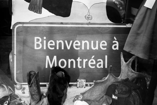 Montreal project 0.jpg