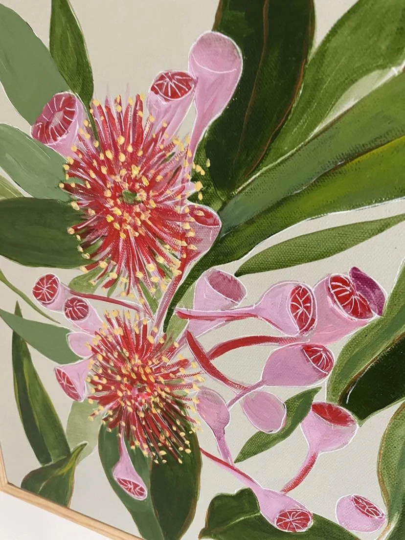 Flowering Pink Gum 36 cms by 36 cms