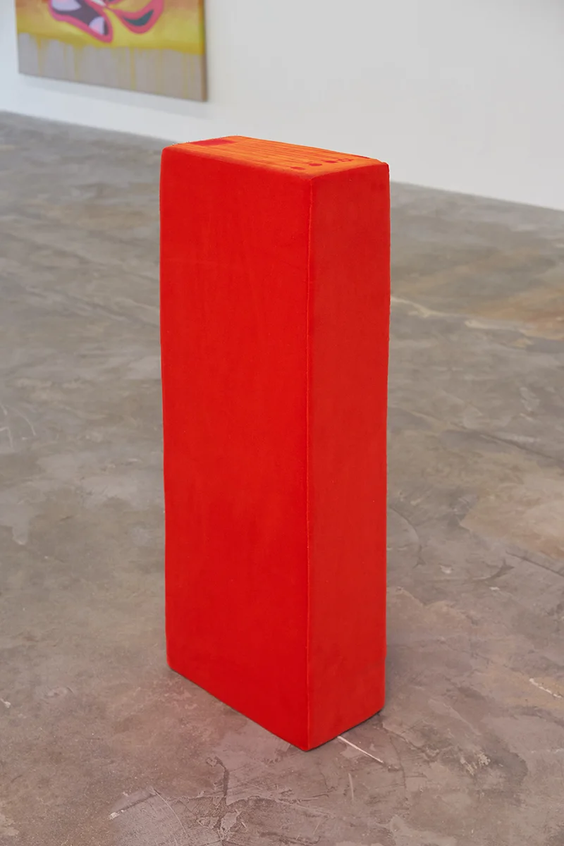 Carlos Reyes TOTEMISTS , 2019 Delancey Street jewelry display, velvet, foam block, and flat head pins 36 1/2 x 14 1/4 x 7 1/2 inches (92.7 x 36.2 x 19 cm)