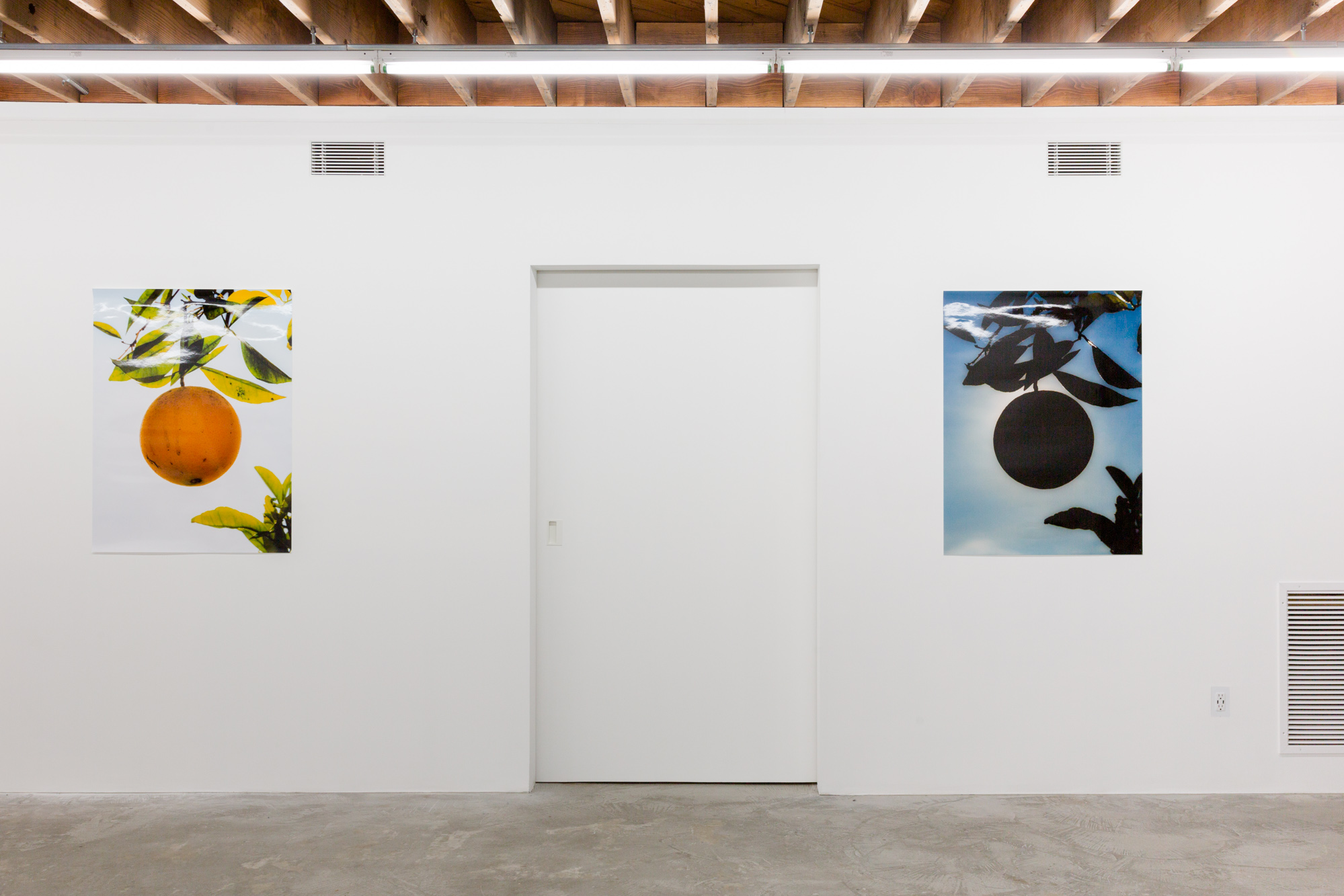 Daniel Terna and Evan Whale_LY Gallery_Exhibition Views_Daniel Terna_2019_websize-1.jpg
