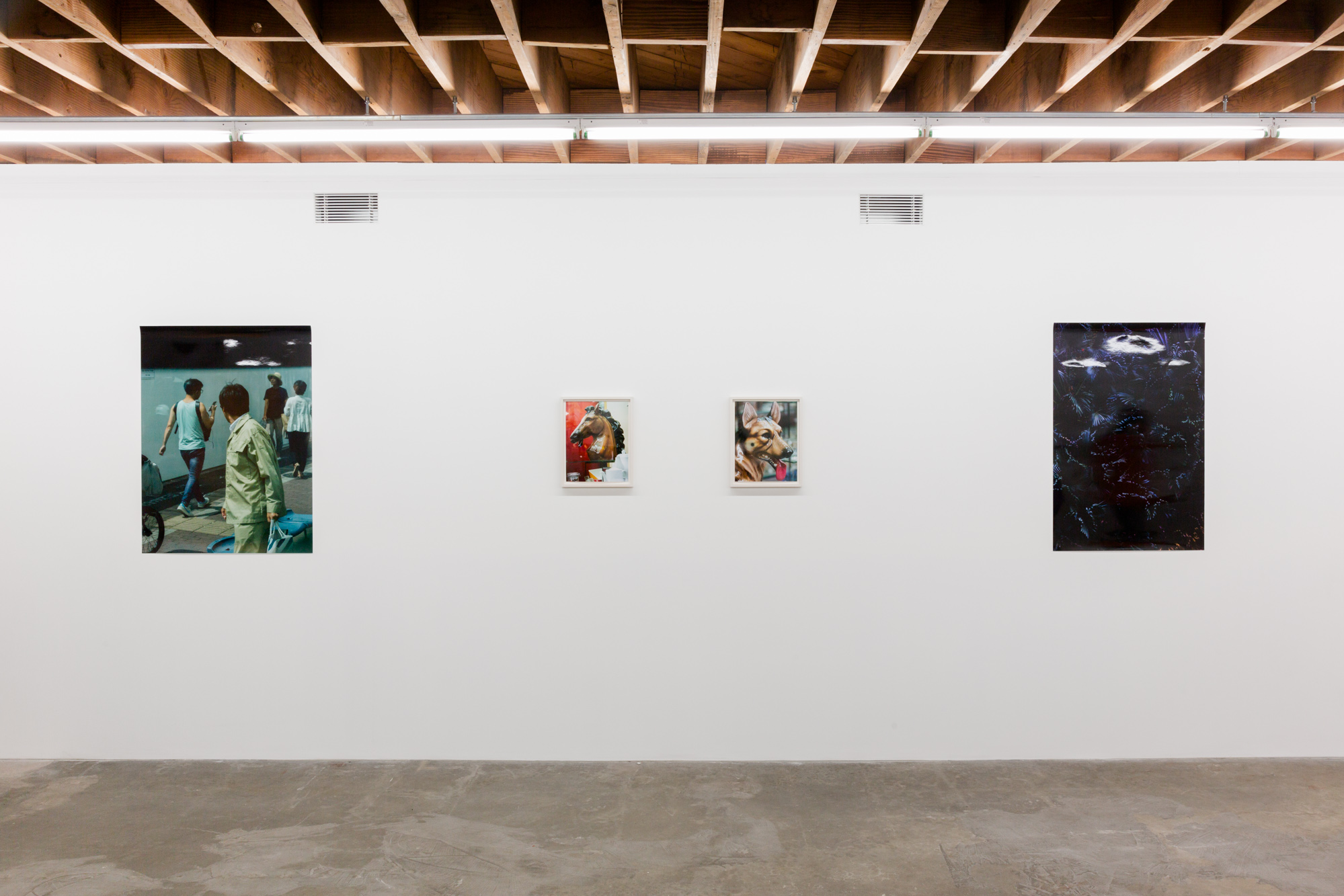 Daniel Terna and Evan Whale_LY Gallery_Exhibition Views_Daniel Terna_2019_websize-18.jpg