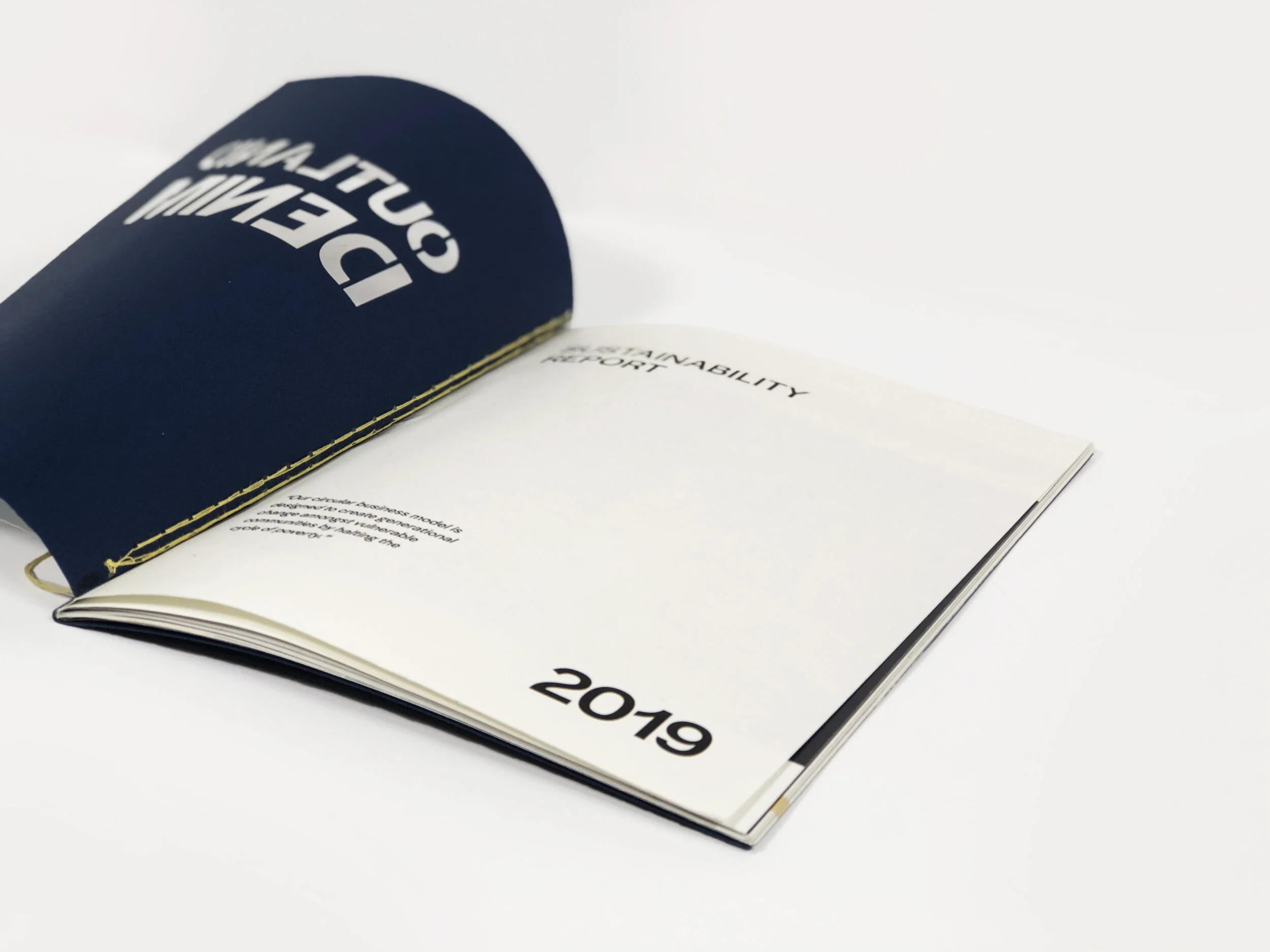 Sustainability Report — Alina Kondratenko