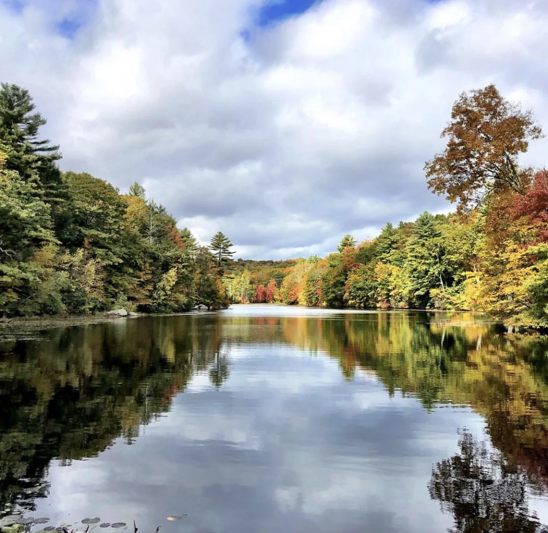 why the sweetest light?