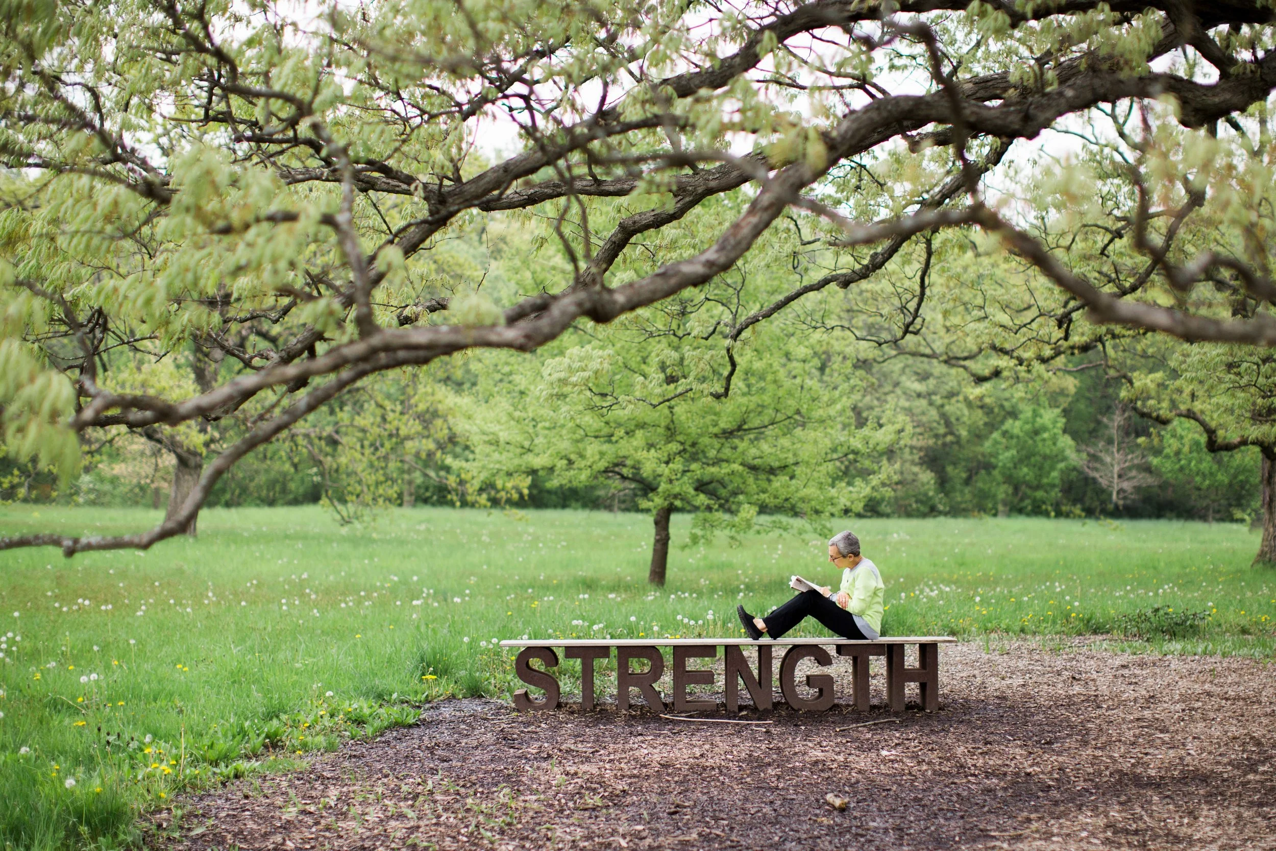 HEALING ARTS WEBSITE-116.jpg